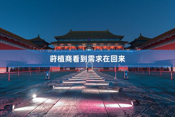 莳植商看到需求在回来