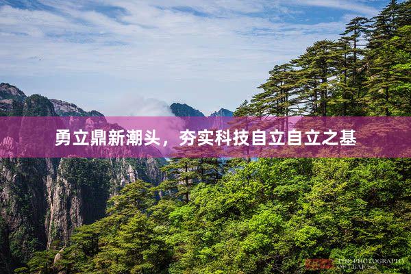 勇立鼎新潮头，夯实科技自立自立之基