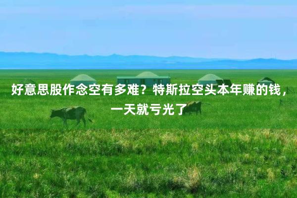 好意思股作念空有多难？特斯拉空头本年赚的钱，一天就亏光了