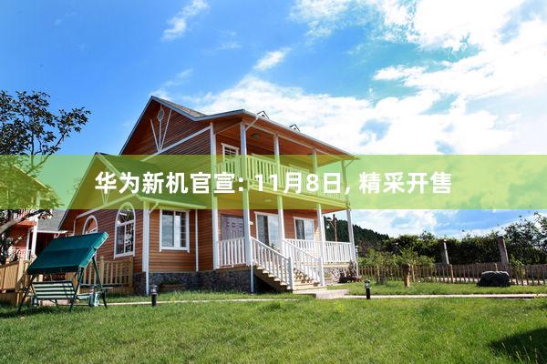 华为新机官宣: 11月8日, 精采开售