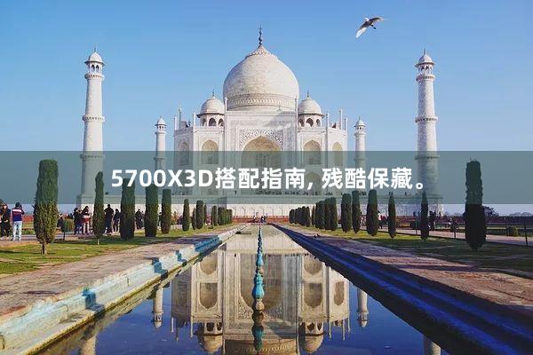 5700X3D搭配指南, 残酷保藏。