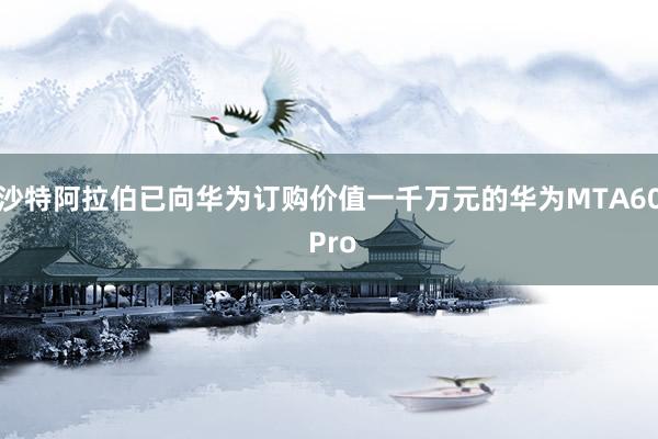 沙特阿拉伯已向华为订购价值一千万元的华为MTA60 Pro