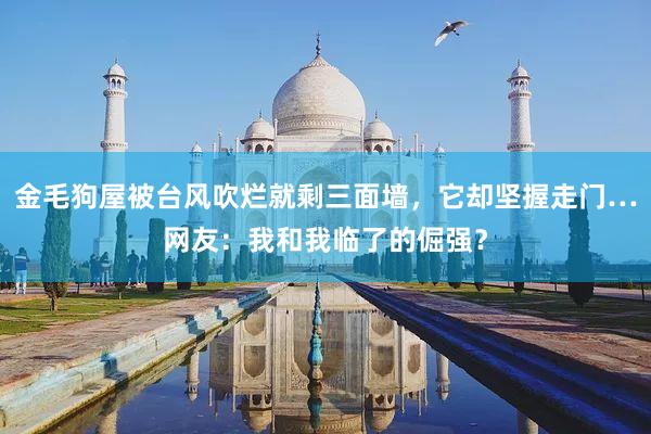 金毛狗屋被台风吹烂就剩三面墙，它却坚握走门…网友：我和我临了的倔强？