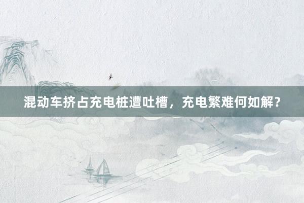 混动车挤占充电桩遭吐槽，充电繁难何如解？