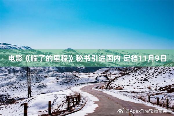电影《临了的里程》秘书引进国内 定档11月9日