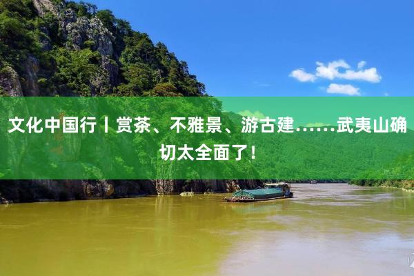文化中国行丨赏茶、不雅景、游古建……武夷山确切太全面了！