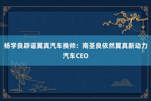 杨学良辟谣翼真汽车换帅：南圣良依然翼真新动力汽车CEO