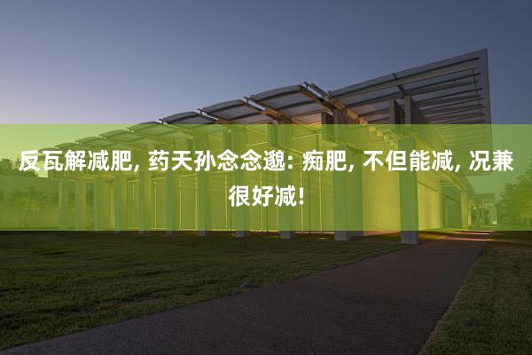 反瓦解减肥, 药天孙念念邈: 痴肥, 不但能减, 况兼很好减!